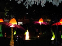 Salz- und Lichterfest Bad Harzburg 2013 6